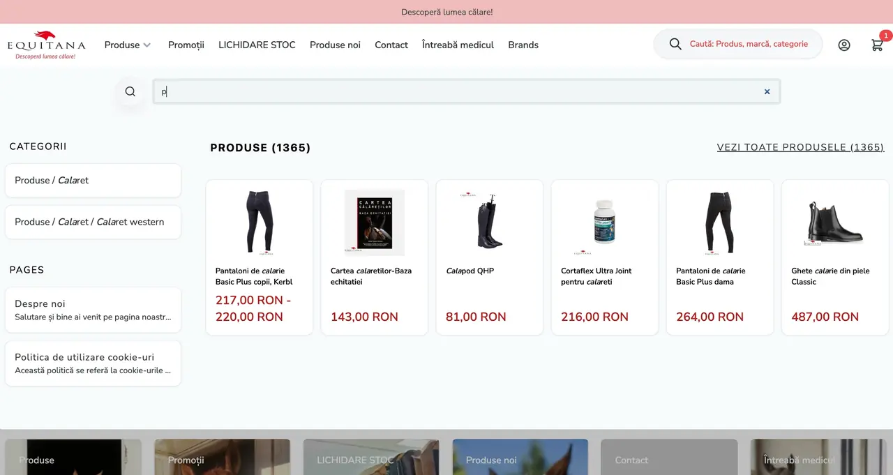 Algolia search results